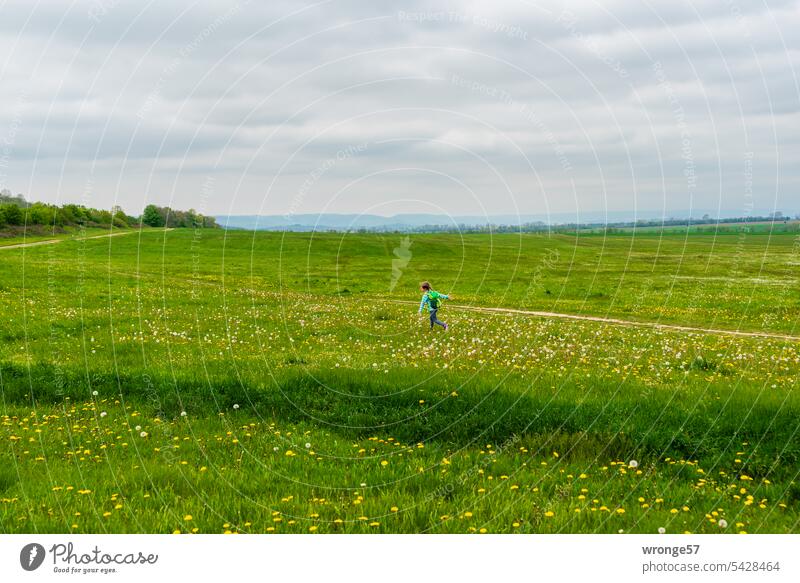 Mädchen läuft ausgelassen über eine Wiese mit blühenden Löwenzahn blühender Löwenzahn Sommer Frühling laufen spielerisch überschwänglich Sehr fröhlich vergnügt