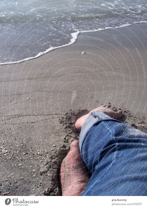 relaxing Strand Meer Florida venice Fuß Wasser