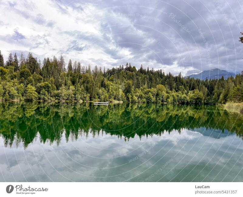 Still ruht der See Wald Bäume Wolken Spiegelung Reflexion & Spiegelung Wasser Landschaft ruhig Wasseroberfläche Idylle Natur Seeufer Wasserspiegelung friedlich