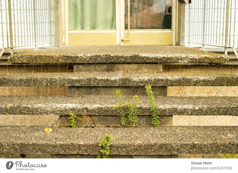 Relikt aus dem Zeitalter des Waschbetons Eingangsstufen Treppe Stufen Strukturen & Formen aufwärts Repräsentation vergangen Verfall Charme Leerstand