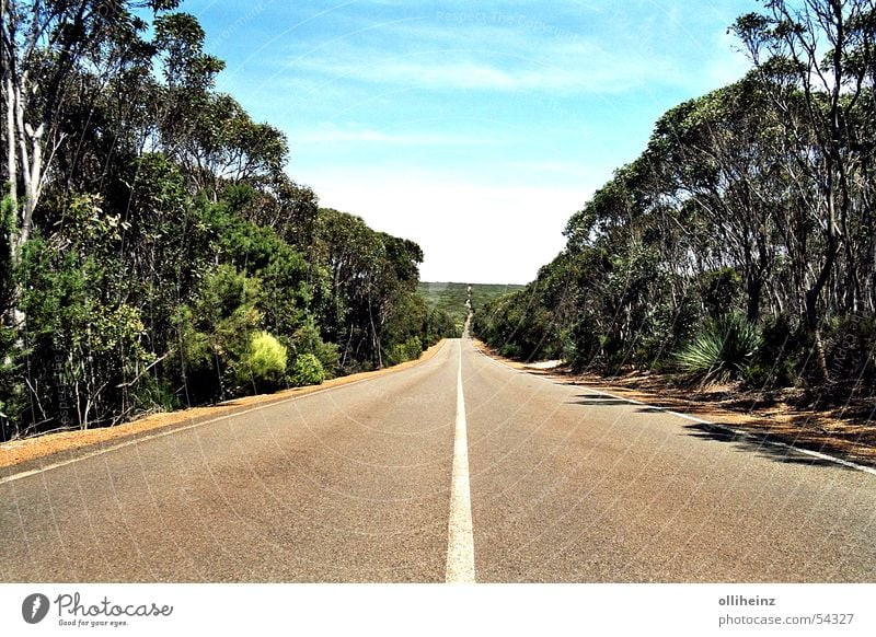 Straße auf Kangaroo Island Australien Känguru-Insel Horizont Eukalyptusbaum Ferien & Urlaub & Reisen Ferne bush Freiheit außenaufname Landschaft
