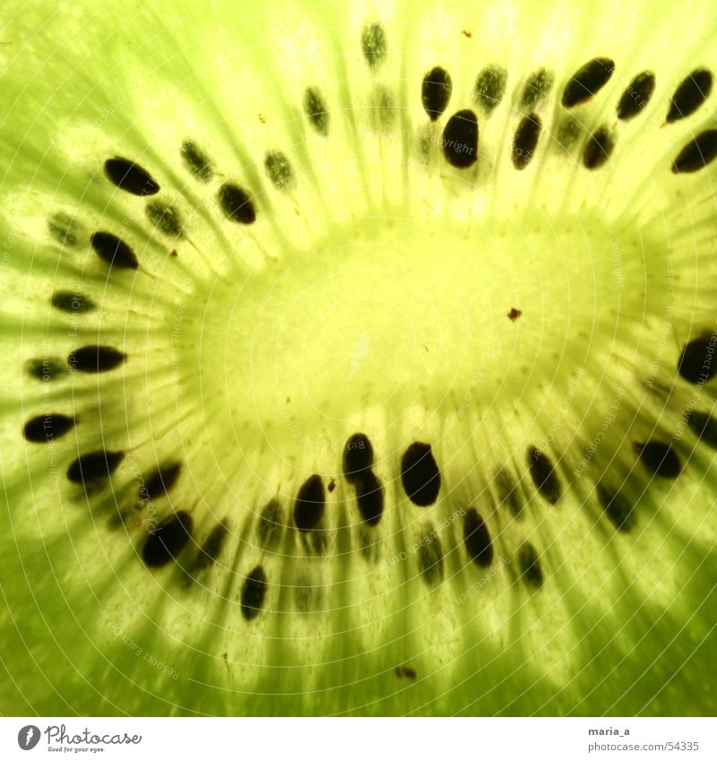 Kiwi Kerne grün schwarz Licht fruchtig lecker Gesundheit Vitamin saftig durchleutet Lampe Frucht kernig Schalen & Schüsseln querschnitt Nahaufnahme