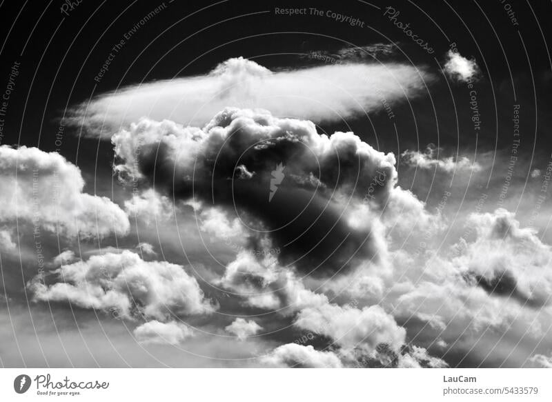 Imposante Wolkenformation Himmel Wolkenfeld Wolkenbild Wetter Klima Struktur schwarzweiß dramatisch Regen Wetterlage