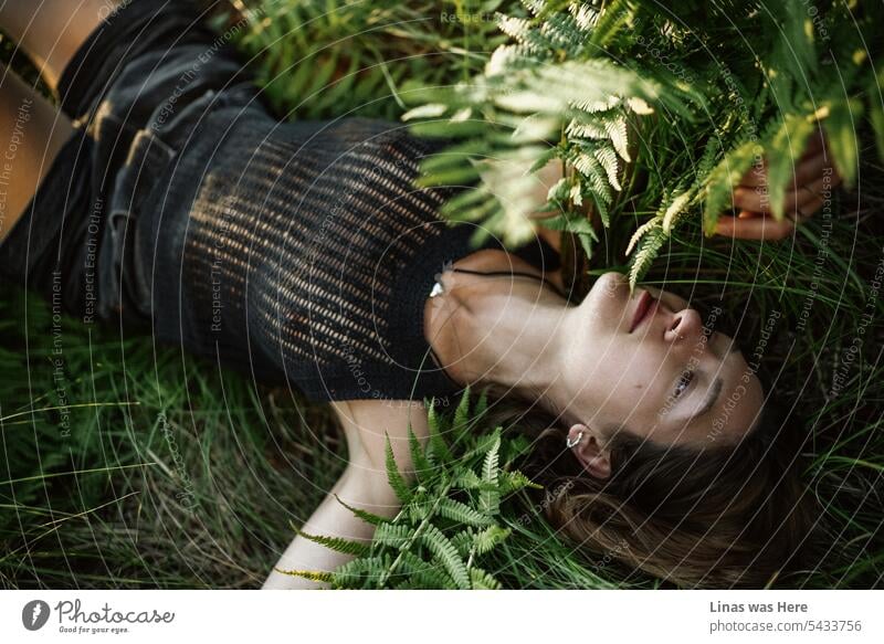 Ein brünettes Mädchen liegt auf dem Boden, umgeben von grünem Gras und wilden Farnen. Eine hübsche und sinnliche Frau genießt das gute Wetter an einem schönen Sommernachmittag. Sommerliebe.