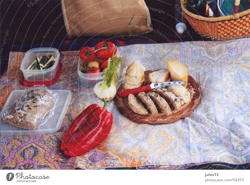 Picknick Gesundheit Ernährung Brot Paprika Wiese Käse gemütlich Korb Sommer Ferien & Urlaub & Reisen Strukturen & Formen Natur Lebensmittel Decke Italien Pause