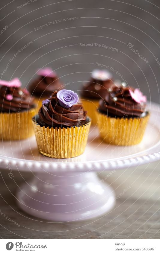 chocolate Kuchen Süßwaren Schokolade Ernährung Slowfood Fingerfood lecker süß Cupcake Kalorienreich Farbfoto Innenaufnahme Menschenleer Textfreiraum oben
