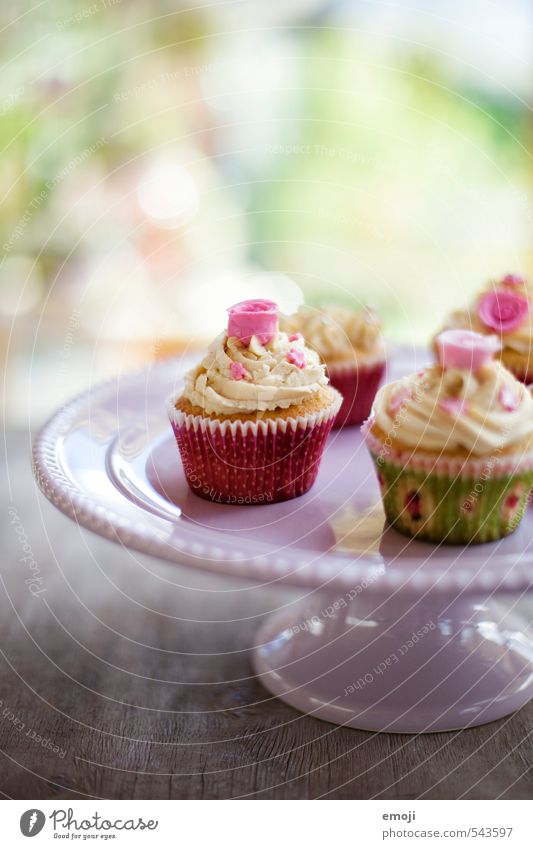 rosig Kuchen Dessert Süßwaren Ernährung Picknick Slowfood Fingerfood lecker süß rosa Cupcake Farbfoto Innenaufnahme Nahaufnahme Menschenleer Tag