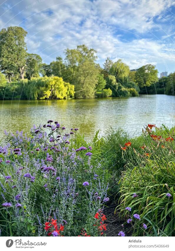 Parkanlage | Blumenbeet am See Beet Blüte Sommer Stadt Stadtpark Bäume Ufer Wasser Blauer Himmel Wolken