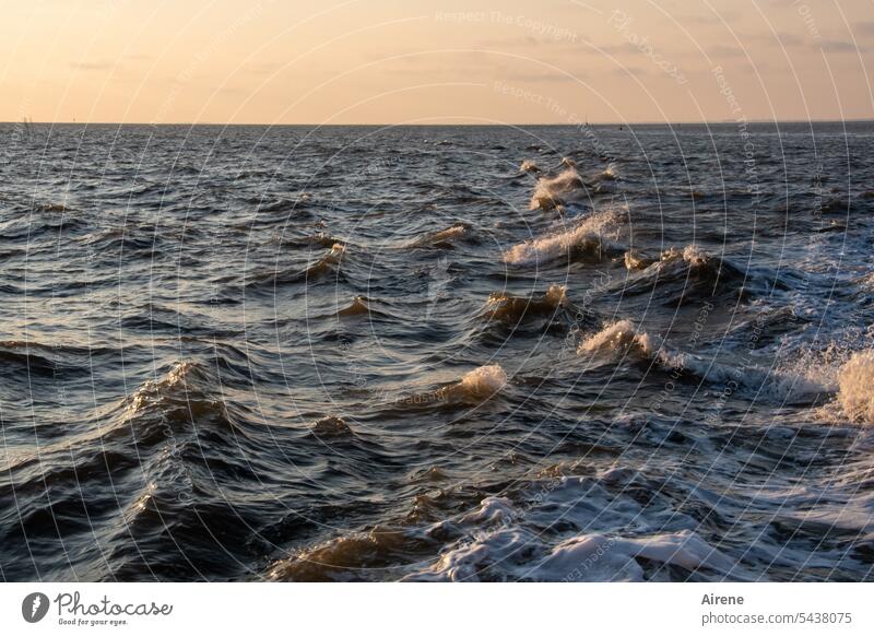 schäumende Wellen Meer Wasser Kraft bedrohlich Gischt blau Bewegung Urelemente wild Naturgewalt Wellengang Schaum dunkel Sonnenlicht Abendlicht Abendrot Wind
