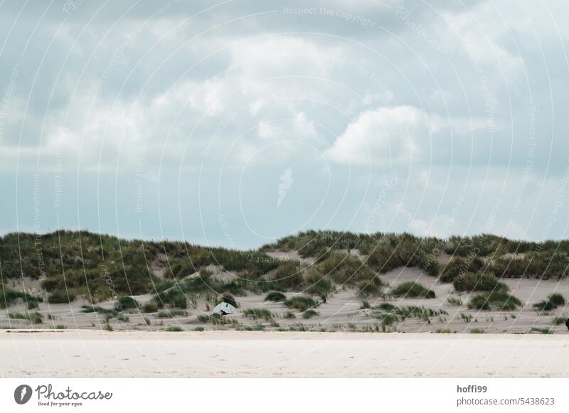 Dünenlandschaft mit Windschutz und Wolken Dünen am Strand Dünengras Landschaft Sand Himmel Nordsee alleine Nordseeküste besinnlich Einsamkeit Mensch Insel