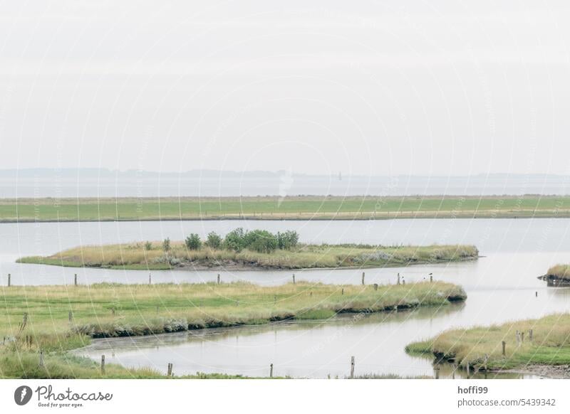 Deichvorland mit Sielen und ruhiger, nebliger Stimmung - der Herbst kommt Überflutungsgebiet Nebelschleier diesiges Wetter Küste Nordsee Ferne Landschaft