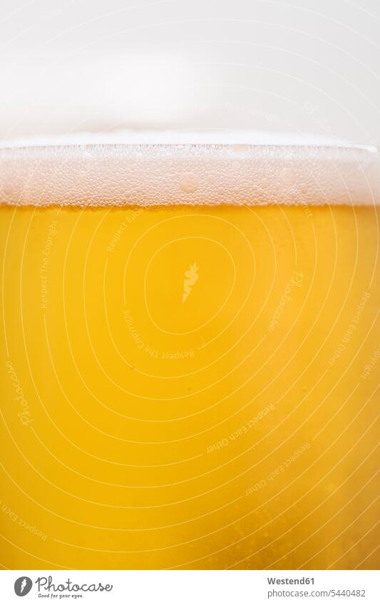 Glas kaltes Bier, Nahaufnahme Food and Drink Lebensmittel Essen und Trinken Nahrungsmittel Kälte weiß weißes weißer weiss gelb gelber gelbes Formatfüllend