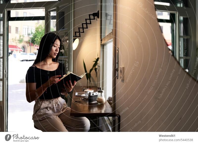 Hübsche asiatische Brünette beim Lesen eines Buches in einem Café neben dem Fenster Frau weiblich Frauen Asiatin Asiatinnen asiatisches asiatischer lesen