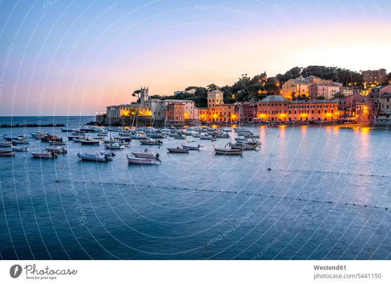 Italien, Ligurien, Sestri Levante in der Abenddämmerung Niemand wolkenlos ohne Wolken Textfreiraum Blaue Stunde Meer Meere Boot Boote Hafen Haefen Häfen