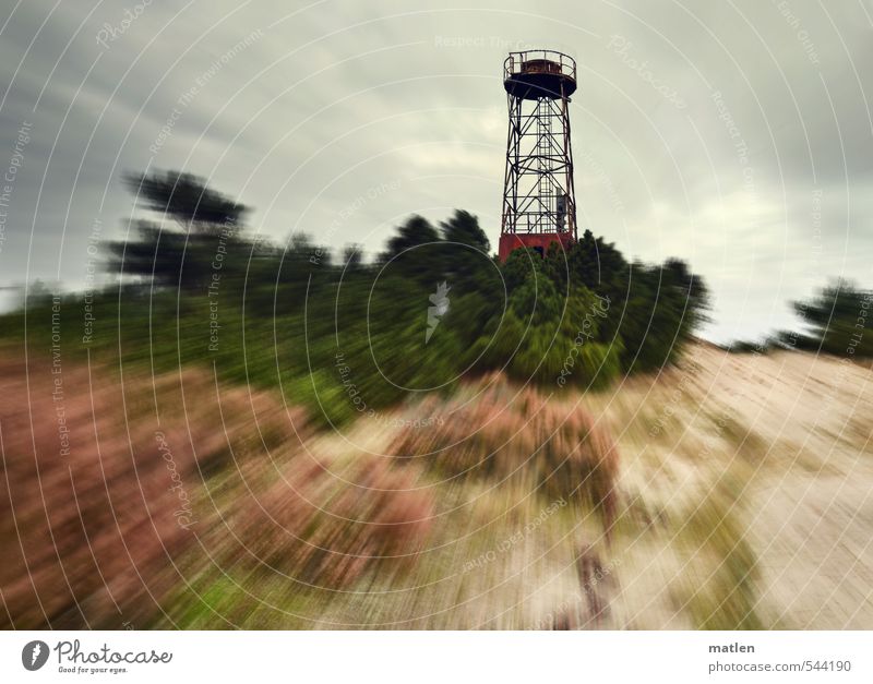 Schwedenhügel Landschaft Pflanze Sand Himmel Wolken Gewitterwolken Herbst Wetter schlechtes Wetter Wind Baum Sträucher Wald Hügel Küste Ostsee Leuchtturm braun