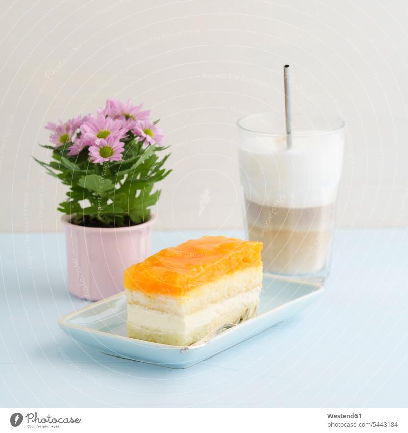 Pfirsichkuchen und Latte Macchiato Food and Drink Lebensmittel Essen und Trinken Nahrungsmittel Glas Trinkgläser Gläser Trinkglas Blume Blumen Blüte Kaffee