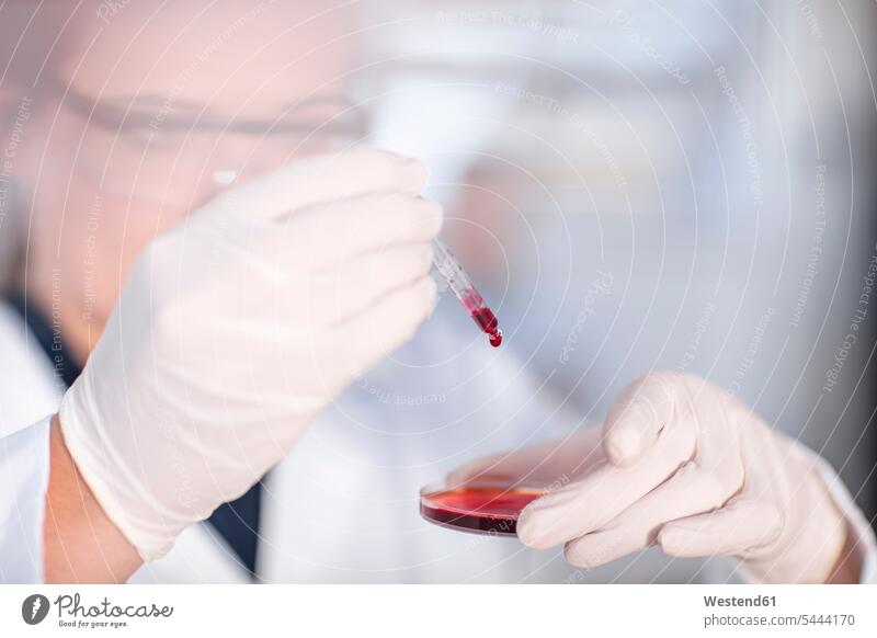 Wissenschaftlerin, die im Labor mit Pipette und Petrischale arbeitet Labore Petrischalen Wissenschaftlerinnen arbeiten Arbeit wissenschaftlich Wissenschaften