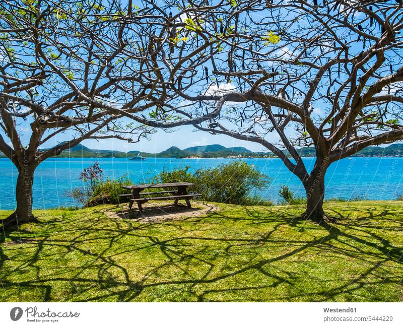 Karibik, Martinique, Blick auf Sainte-Anne Küste Küstenlandschaft Natur Le Marin Antillen Westindische Inseln Außenaufnahme draußen im Freien Park Parkanlagen