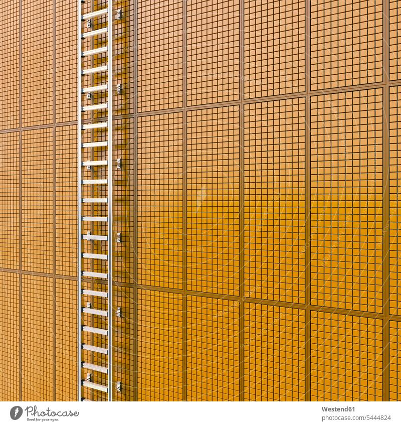 Leiter an gekachelter Wand befestigt, 3D-Rendering Konzept konzeptuell Konzepte Struktur Strukturen Muster Sonnenlicht Formatfüllend bildfuellend bildfüllend