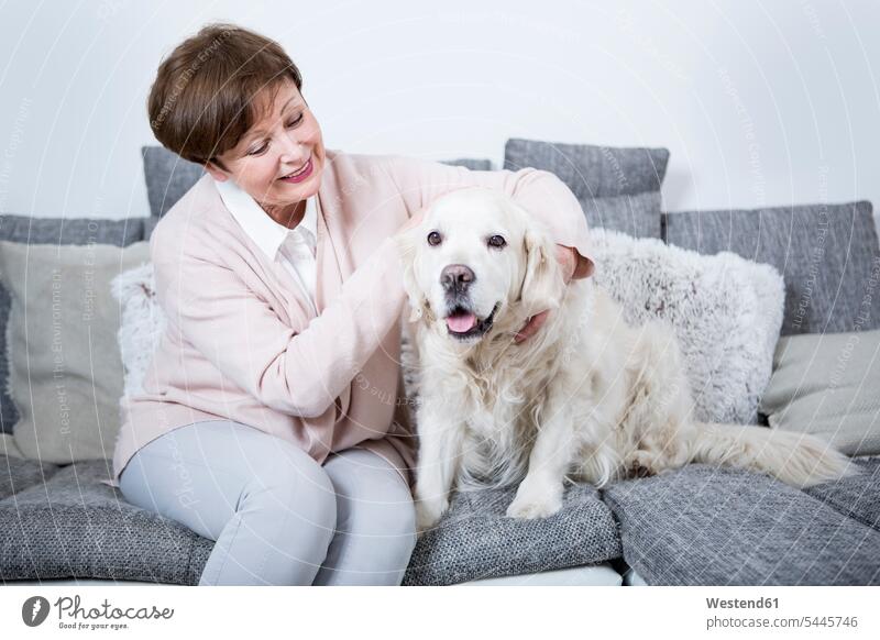 Ältere Frau sitzt mit ihrem Hund auf dem Sofa weiblich Frauen Seniorin älter Seniorinnen alt streicheln sitzen sitzend Erwachsener erwachsen Mensch Menschen