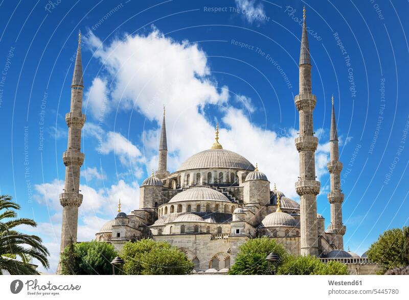 Türkei, Istanbul, Blaue Moschee Wolke Wolken Gebäude Sultanahmet Camii Außenaufnahme draußen im Freien Architektur Baukunst Palme Palmen imposant beeindruckend