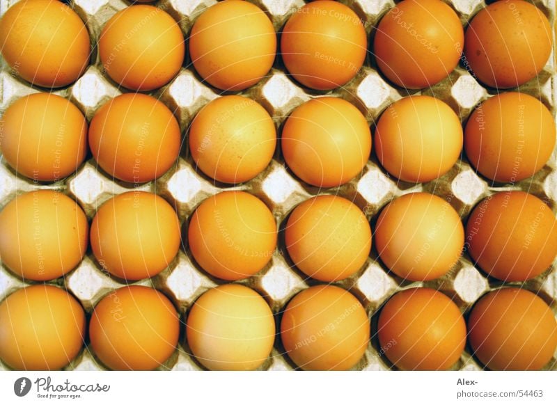 Feld Eier Hügel Vogel Haushuhn liegen Nachkommen Embryo Muster rund Schalen & Schüsseln Berge u. Gebirge Reihe orange