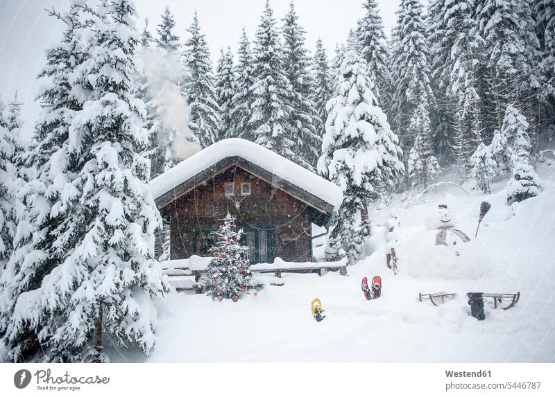 Österreich, Altenmarkt-Zauchensee, Schneemann, Schlitten und Weihnachtsbaum am Holzhaus im Schnee Abgeschiedenheit Einsamkeit abgeschieden ländlich auf dem Land