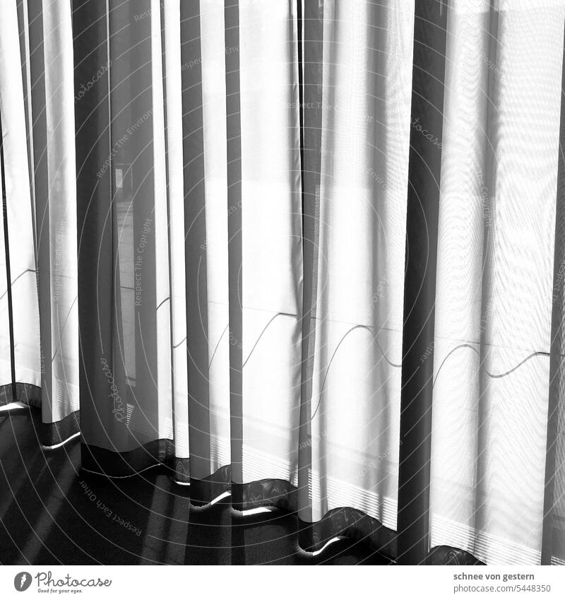 Abhängen Vorhang Schatten Licht Fenster Stoff Häusliches Leben Menschenleer Sichtschutz Raum Innenaufnahme Wohnung Faltenwurf Strukturen & Formen Sonnenlicht