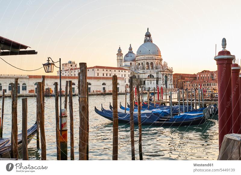 Italien, Venedig, Santa Maria della Salute bei Sonnenaufgang mit Gondeln auf dem Canal Grande Niemand Textfreiraum Kanal Kanaele Kanäle historisch
