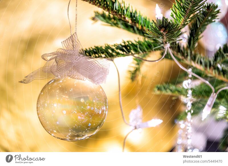 Tannenzweig mit transparenter Weihnachtskugel, Nahaufnahme Stillleben Stillife still life Stills Stilleben Lichterkette Glanz glänzend glaenzend aufhängen