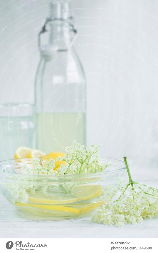 Hausgemachter Holunderblütensirup, Zitronenscheiben und Holunderblüten Food and Drink Lebensmittel Essen und Trinken Nahrungsmittel Aroma aromatisch natürlich