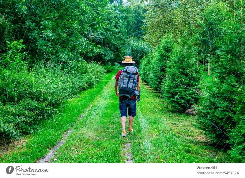 Frankreich, Straßburg, Mann mit Reiserucksack und Strohhut auf Waldpfad Forst Wälder Rucksack Rucksäcke gehen gehend geht Männer männlich wandern Wanderung