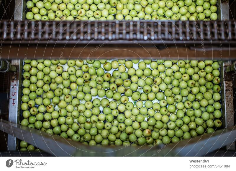 Grüne Äpfel in der Fabrik werden gewaschen reinigen Ware Handelswaren Waren Lebensmittelindustrie Ernährungsindustrie Nahrugsmittelindustrie Maschine Maschinen