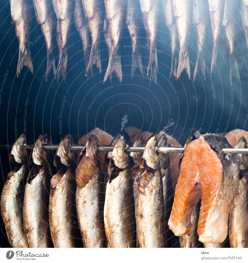 mitgefangen mitgehangen Lebensmittel Fisch Essen Rauch hängen Tod Appetit & Hunger Räucherfisch Fischer Stab geräuchert Außenaufnahme Menschenleer