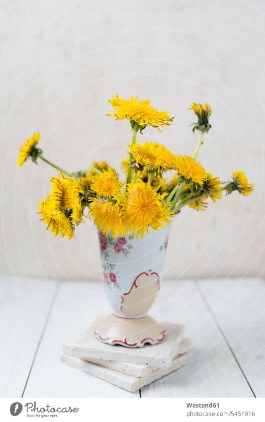 Blumenvase mit Löwenzahn Blumenvasen floral heller Hintergrund übereinander auf obenauf aufeinander blühen erblühen blühend Textfreiraum Taraxacum Loewenzahn
