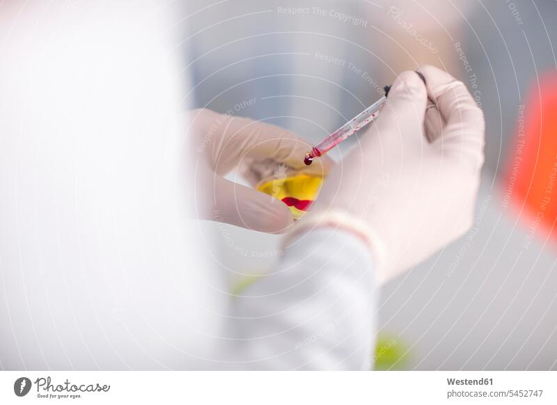 Wissenschaftlerin, die im Labor mit Pipette und Petrischale arbeitet Labore Petrischalen Pipetten wissenschaftlich Wissenschaften arbeiten Arbeit Test testen