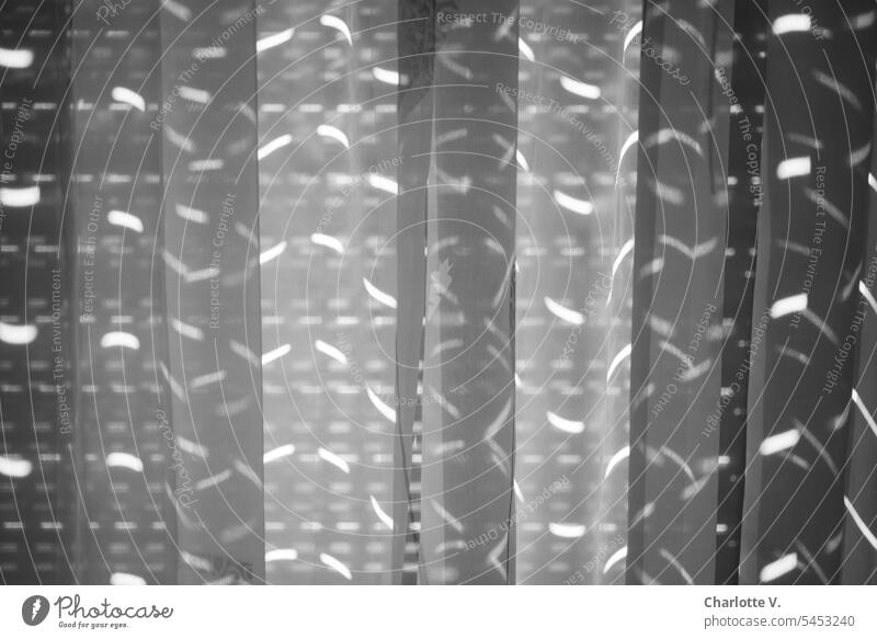 Licht und Schatten | Richtreflexe auf einer Gardine Licht & Schatten Vorhang Fenster Häusliches Leben Sonnenlicht Innenaufnahme Sichtschutz