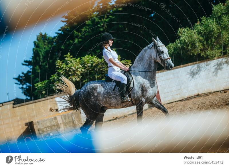Junge Frau reitet zu Pferd reiten Pferdesport Reitsport Reiterin Reiterinnen Equus caballus Säugetier Mammalia Saeugetiere Säugetiere Tier Tierwelt Tiere