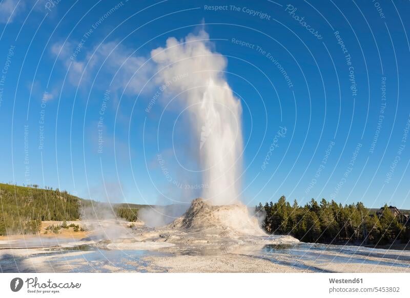 USA, Wyoming, Yellowstone-Nationalpark, Oberes Geysir-Becken, Ausbruch des Castle Geysers Niemand Geologie wolkenlos ohne Wolken Textfreiraum Naturgewalt