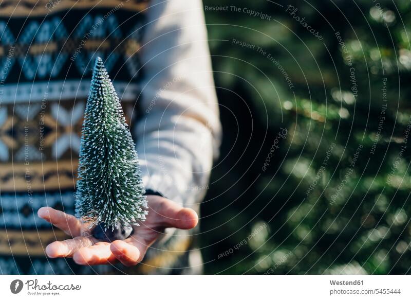 Kleiner Junge hält einen Spielzeugweihnachtsbaum, Nahaufnahme halten Buben Knabe Jungen Knaben männlich Hand Hände Weihnachtsbaum Christbaum Weihnachtsbäume