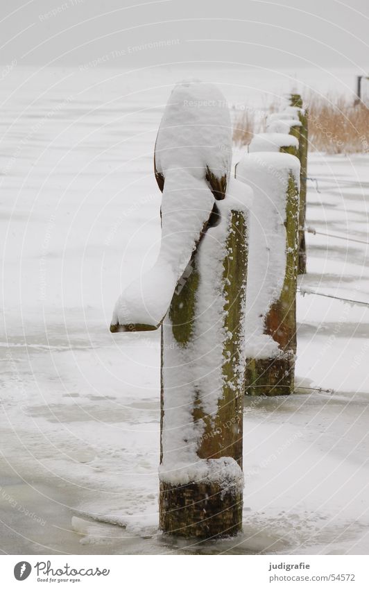 Schnee am Bodden Winter Holz Vorpommersche Boddenlandschaft See Teich Gewässer grau trist kalt weiß Darß Wustrow Fischland ruhig Ferien & Urlaub & Reisen