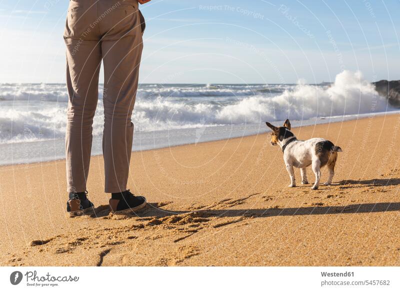Portugal, Porto, Rückenansicht eines jungen Mannes und seines Hundes, die am Strand stehen, Teilansicht Strandspaziergang Tiermotive Tierthemen Erholung erholen