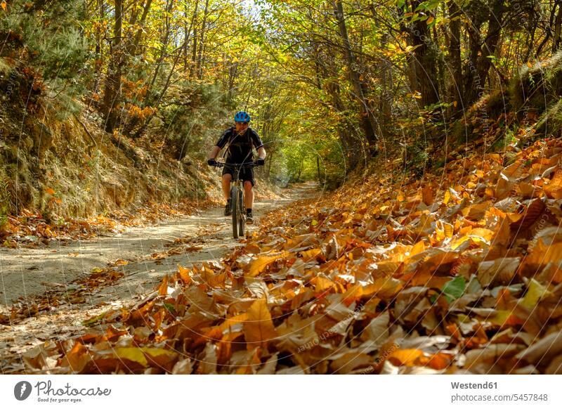 Italien, Ligurien, Finale Ligure, Mountainbiker in der Schlucht im Herbst Hohlweg Mountainbikes Mountainbikefahrer Mann Männer männlich Freizeit Muße fahren