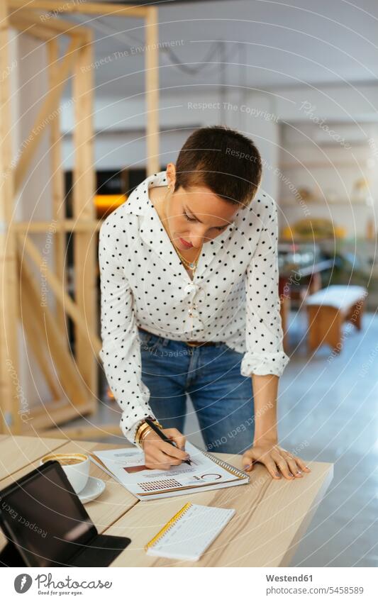 Frau arbeitet am Schreibtisch im Büro an einem Entwurf arbeiten Arbeit Office Büros weiblich Frauen Vorlage Arbeitstisch Schreibtische Arbeitsplatz