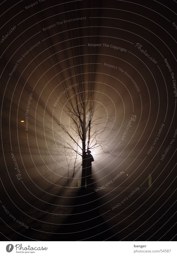 Clara im Zetkin-Park im Gegenwind Nacht Gegenlicht Baum Denkmal Kino Nebel Lichterscheinung clara zetkin Schnee