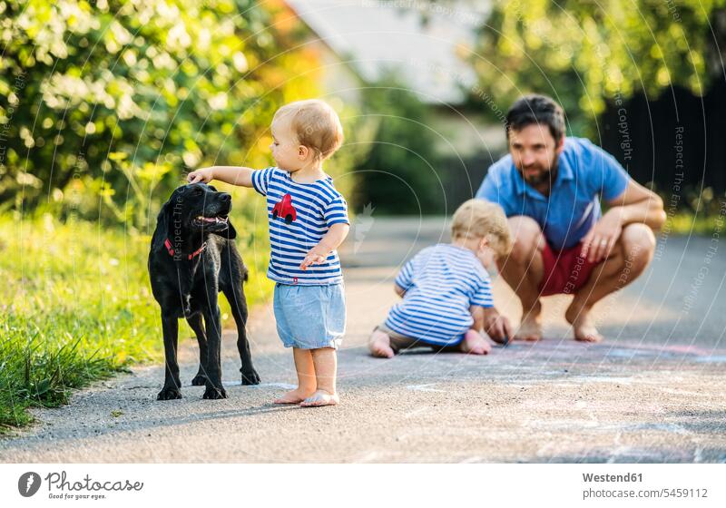 Baby Mädchen streichelt Hund, während Vater beobachtete sie aus dem Hintergrund aufpassen weibliche Babys weibliches Baby weibliche Babies Papas Väter Vati