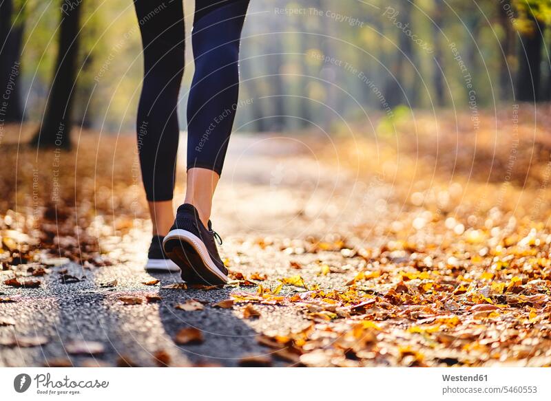 Junge Frau joggt im Herbstwald Rueckansicht Rueckenansicht Rückenansicht von hinten Leute Menschen People Person Personen 1 Ein ein Mensch eine nur eine Person