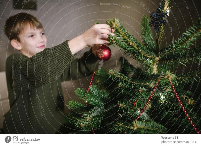 Junge beim Schmücken des Weihnachtsbaums Leute Menschen People Person Personen Europäisch Kaukasier kaukasisch 1 Ein ein Mensch eine nur eine Person single Kids