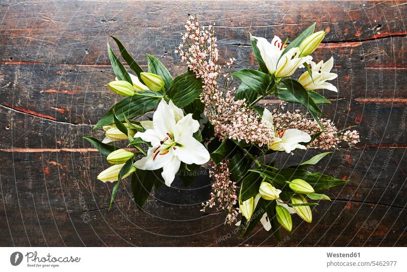 Schnittblumen auf dunklem Holz, Draufsicht Vogelperspektive von oben Aufsicht Zartheit zart Floristik Natur floral dekorativ dekorativer dekoratives blühen