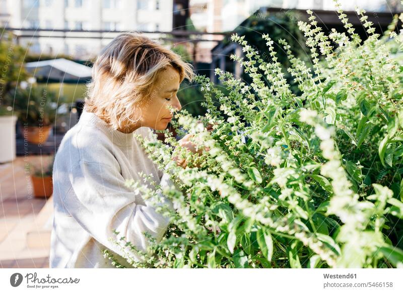 Blonde Frau riecht Blumenpflanze auf Gebäudeterrasse Farbaufnahme Farbe Farbfoto Farbphoto Außenaufnahme außen draußen im Freien Tag Tageslichtaufnahme